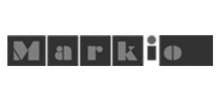 VisionLidar client Markio