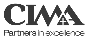 VisionTerrain land surveying field software client CIMA